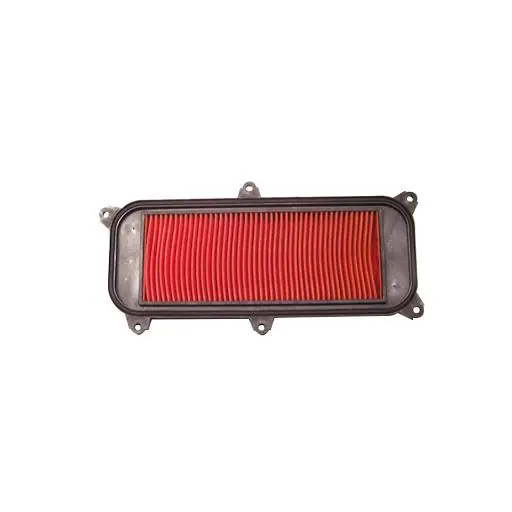 Economico Kymco dink euro3i 200 filtro aria hokio 2006 2007