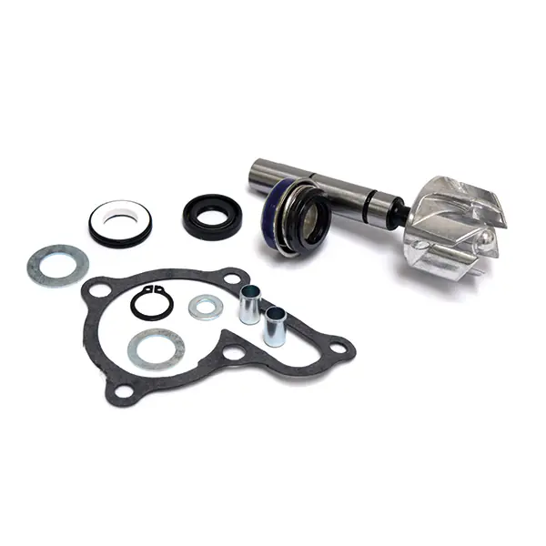 Downtown (v21000) 125 kit riparazione pompa acqua 2009 2016 Professionale