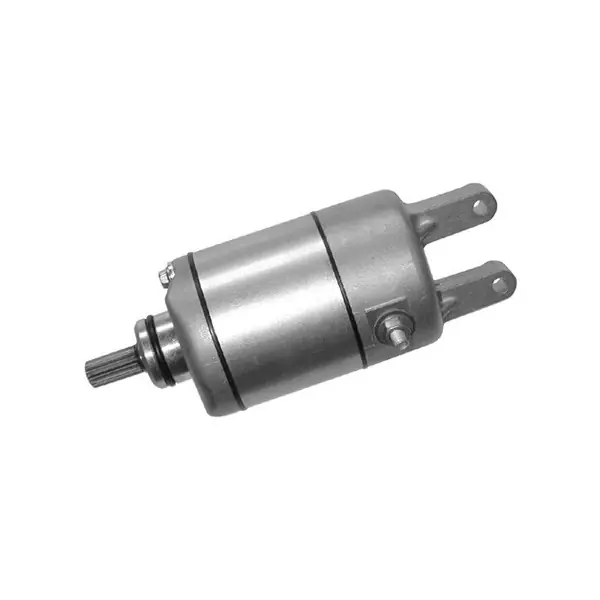 Scelto Dai Clienti Aprilia leonardo / leonardo st 250 motorino avviamento sgr 1999 2001