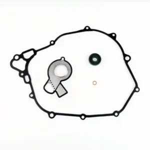 Gas gas mc f 450 kit revisione pompa acqua 2021 2023 Prezzo Scontato