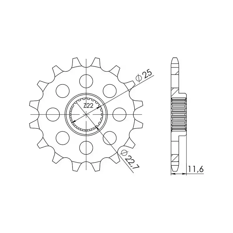 Saldi PIGNONE P520 - Z12 (DIS.94318)