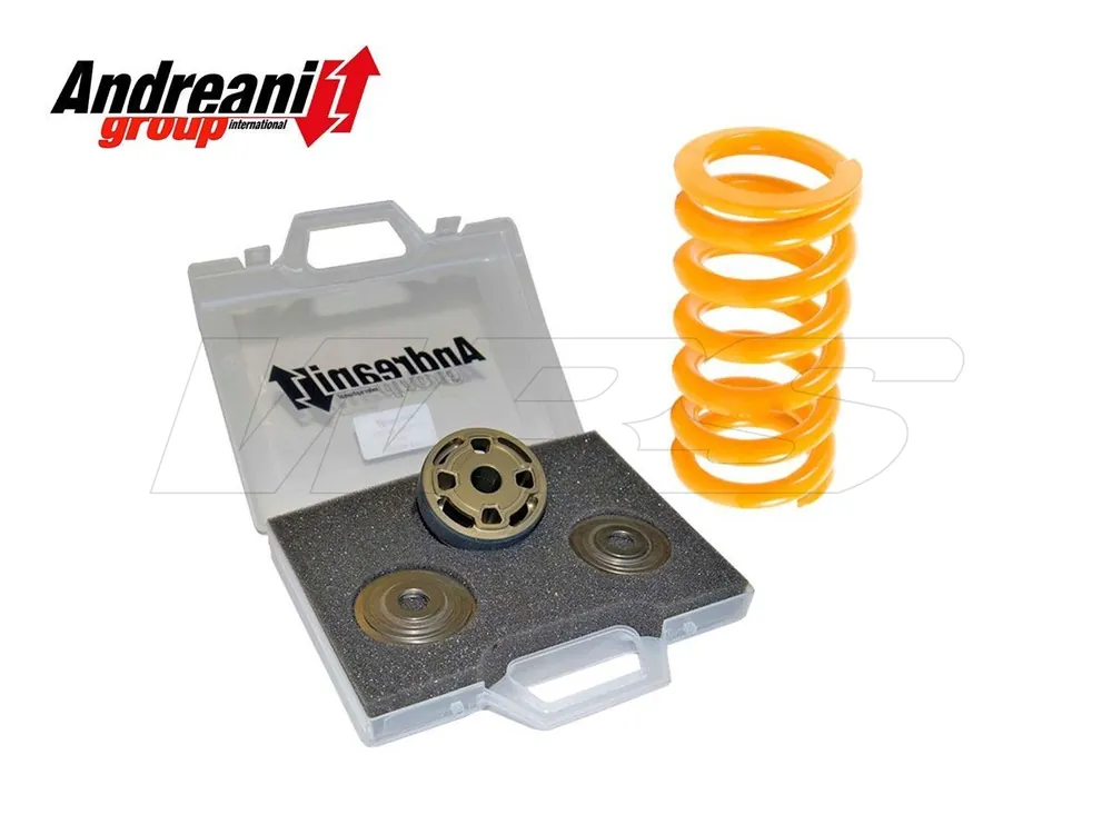 Saldi KIT MODIFICA MONO OEM ANDREANI MV AGUSTA RIVALE 800 2014 (SACHS 16)-