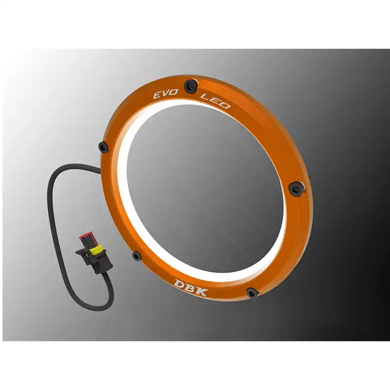 Prezzo Conveniente Kit di Trasformazione Dbk KAGL01 Evo Led arancio-