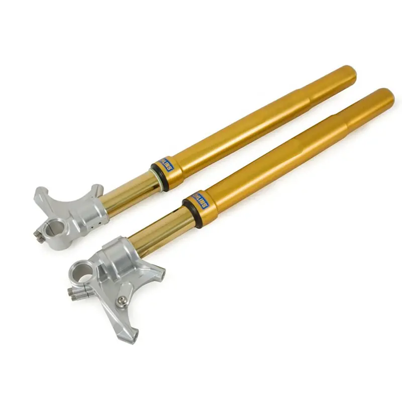 Acquista Ora Forcella Ohlins RT 43 Nix Oro Ducati 959 Panigale-