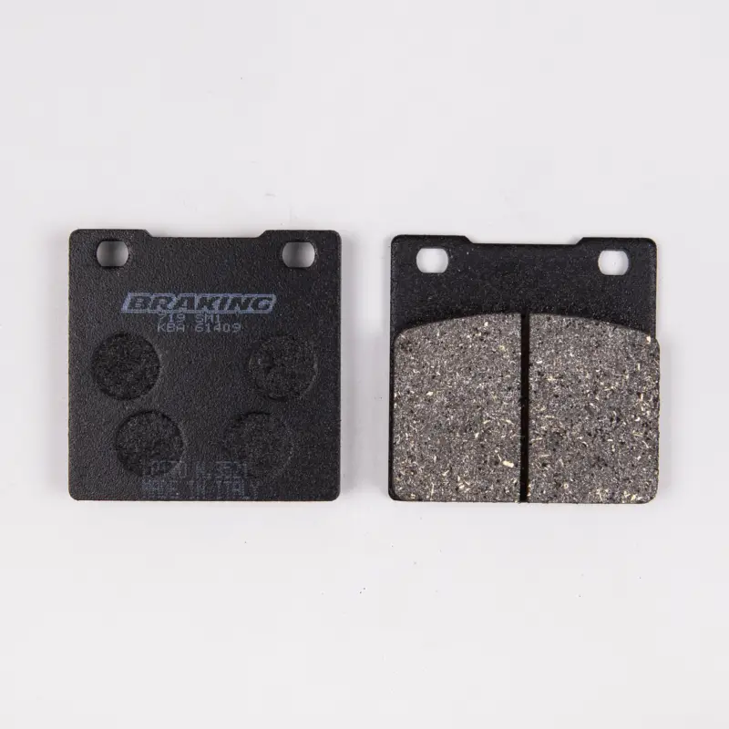 BRAKING Pastiglie freno Posteriore 719SM1 Offerta Lampo