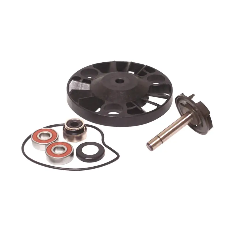 Affare Kit Revisione Pompa Acqua Aprilia/Gilera/Piaggio 125/180/200 cc 4T