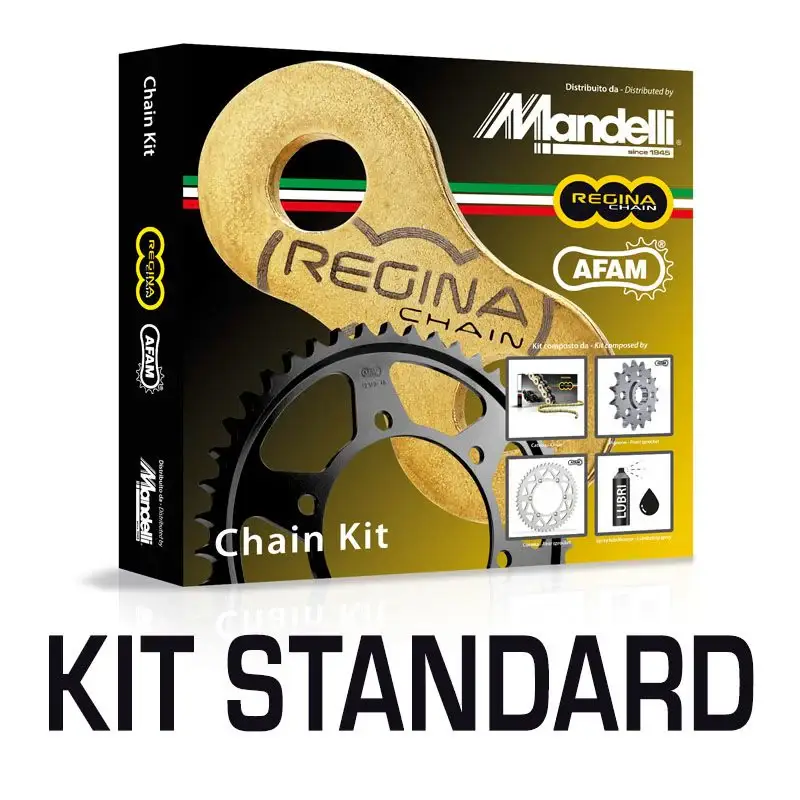 REGINA Kit trasmissione HONDA CB 1300 F 98 01 Compra Oggi Stesso