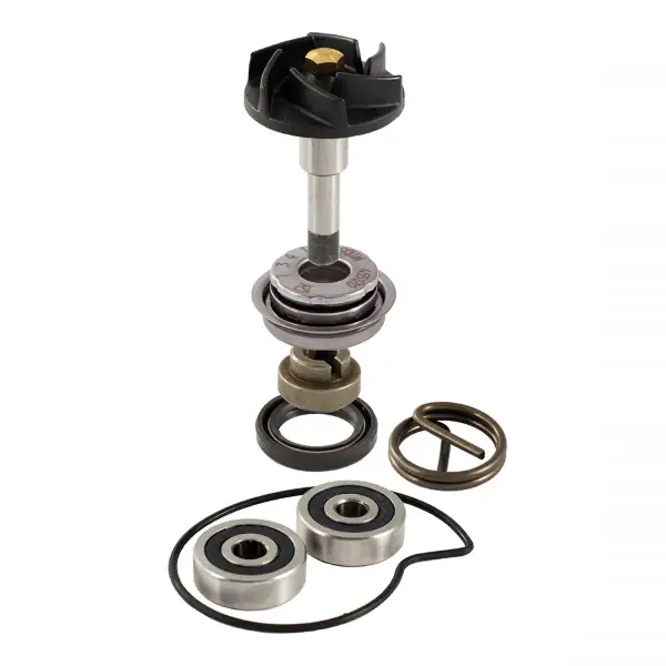 Kit revisione pompa acqua RMS Piaggio Beverly 250-300cc per PIAGGIO BEVERLY TOURER EURO3 250 2007 - 2009 Offerta Limitata